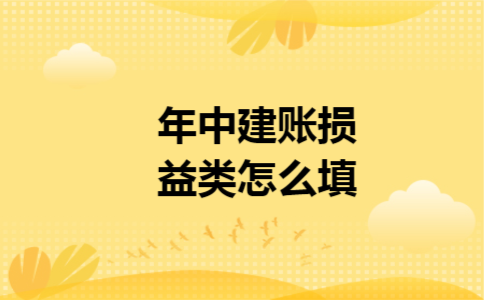 年中建账损益类怎么填