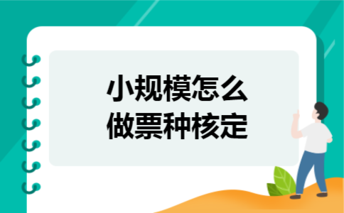 小规模怎么做票种核定