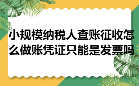小规模纳税人查账征收怎么做账凭证只能是发票吗 小规模纳税人查账征收怎么做账凭证只能是发票吗
