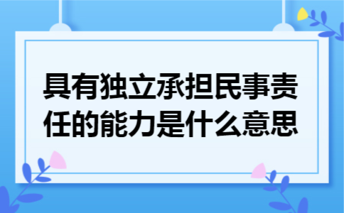 具有独立承担民事责任的能力是什么意思
