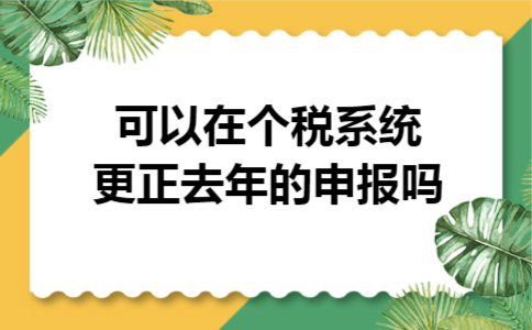 可以在个税系统更正去年的申报吗 可以在个税系统更正去年的申报吗
