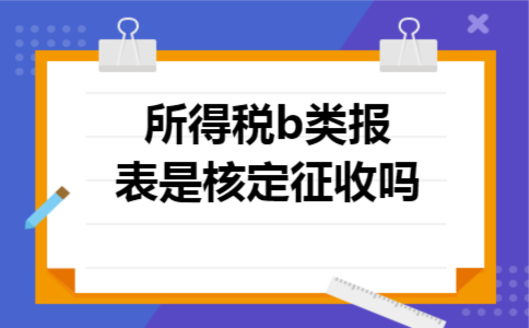 所得税b类报表是核定征收吗