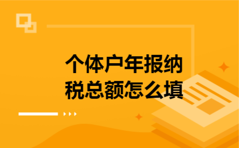 个体户年报纳税总额怎么填