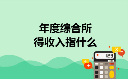年度综合所得收入指什么 年度综合所得收入指什么