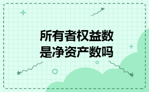 所有者权益数是净资产数吗