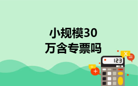 小规模30万含专票吗