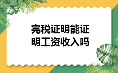 完税证明能证明工资收入吗