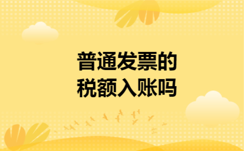 普通发票的税额入账吗
