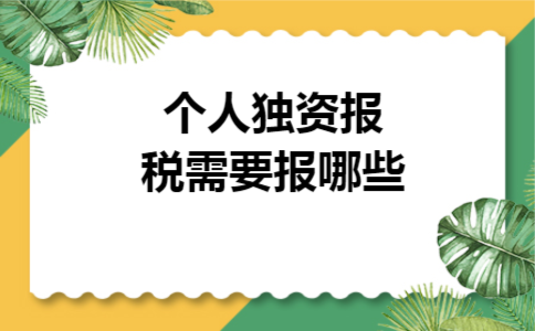 个人独资报税需要报哪些