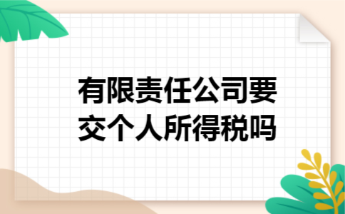 有限责任公司要交个人所得税吗