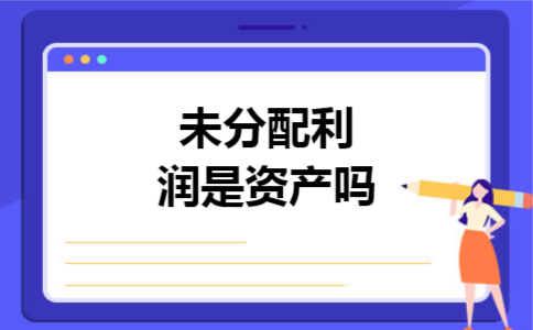 未分配利润是资产吗