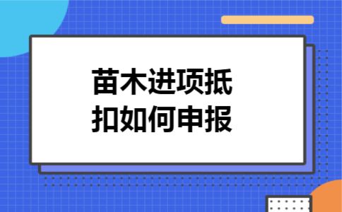 苗木进项抵扣如何申报