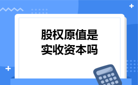 股权原值是实收资本吗