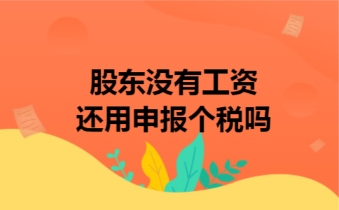 股东没有工资还用申报个税吗