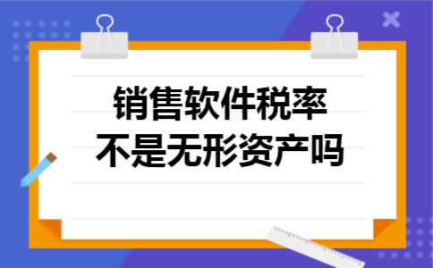 销售软件税率不是无形资产吗