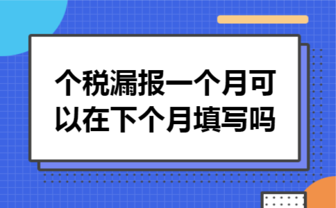 个税漏报一个月可以在下个月填写吗