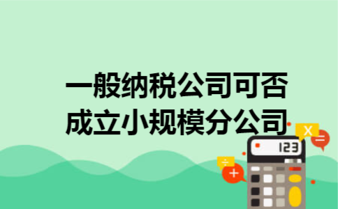 一般纳税公司可否成立小规模分公司 一般纳税公司可否成立小规模分公司