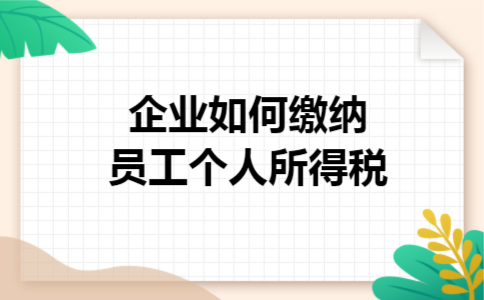 企业如何缴纳员工个人所得税