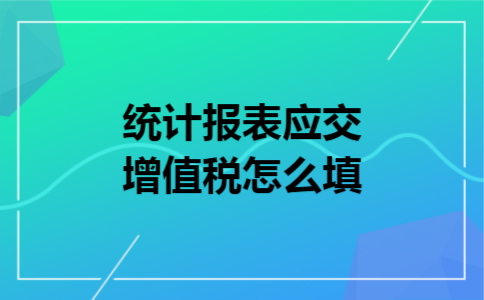 统计报表应交增值税怎么填