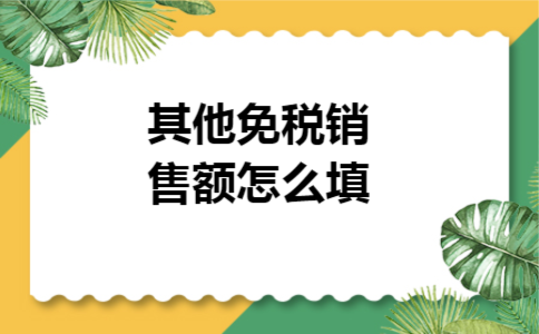 其他免税销售额怎么填