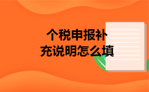 个税申报补充说明怎么填