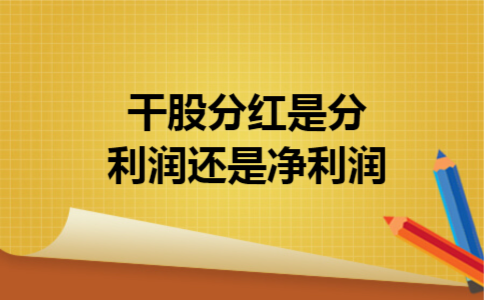 干股分红是分利润还是净利润