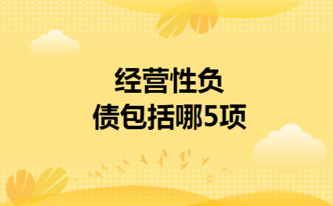 经营性负债包括哪5项