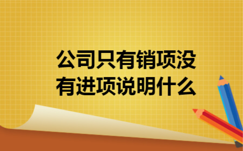 公司只有销项没有进项说明什么