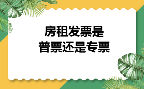 房租发票是普票还是专票