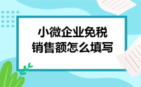 小微企业免税销售额怎么填写