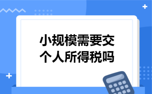 小规模需要交个人所得税吗