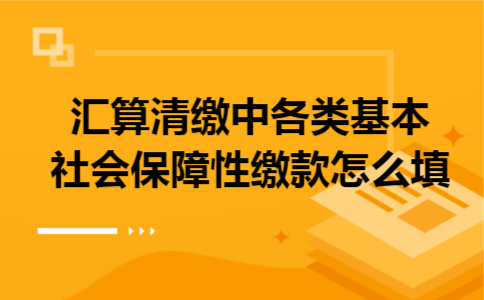 汇算清缴中各类基本社会保障性缴款怎么填 汇算清缴中各类基本社会保障性缴款怎么填