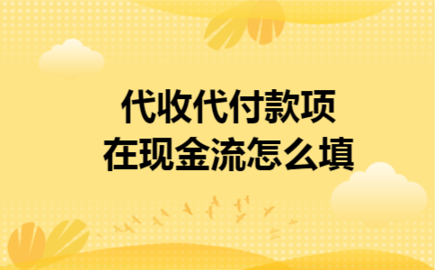 代收代付款项在现金流怎么填