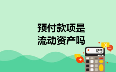  预付款项是流动资产吗