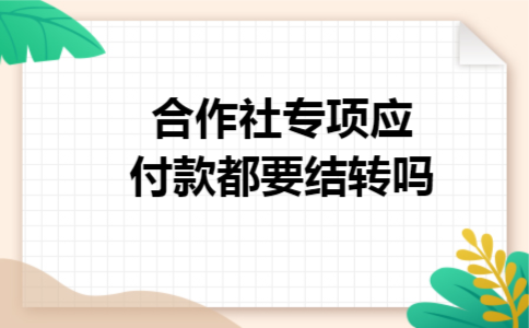 合作社专项应付款都要结转吗