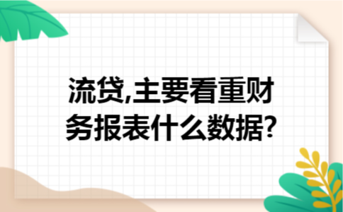 流贷,主要看重财务报表什么数据?