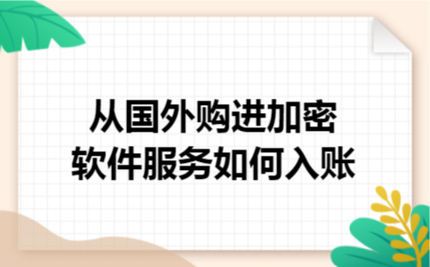 从国外购进加密软件服务如何入账