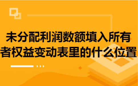 未分配利润数额填入所有者权益变动表里的什么位置