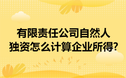 有限责任公司自然人独资怎么计算企业所得?