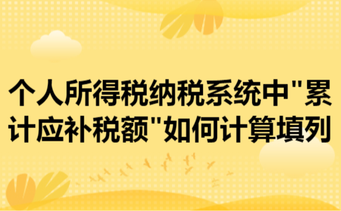 个人所得税纳税系统中