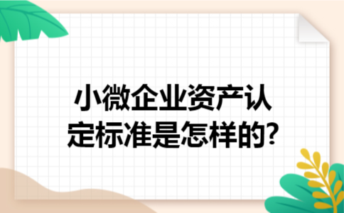 小微企业资产认定标准是怎样的?