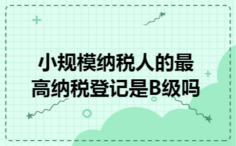 小规模纳税人的最高纳税登记是B级吗