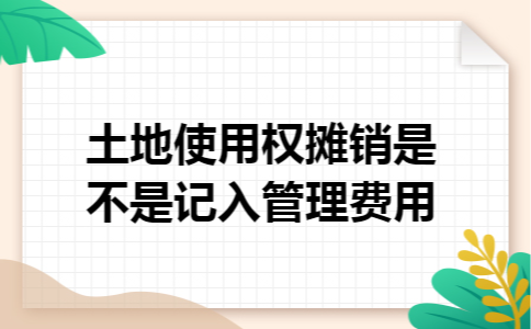土地使用权摊销是不是记入管理费用