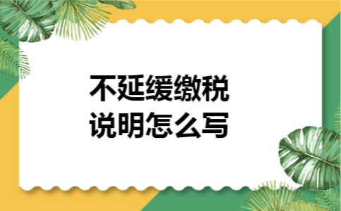 不延缓缴税说明怎么写