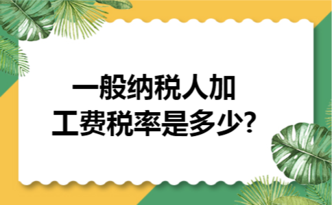 一般纳税人加工费税率是多少?