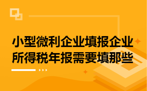 小型微利企业填报企业所得税年报需要填那些
