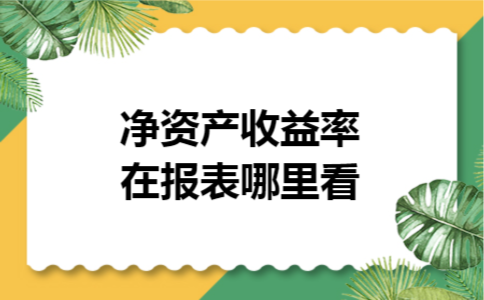 净资产收益率在报表哪里看