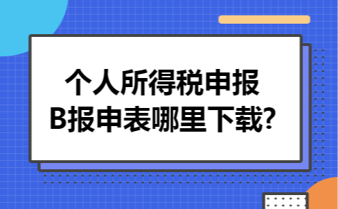 个人所得税申报B报申表哪里下载?