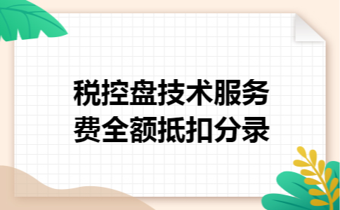 税控盘技术服务费全额抵扣分录