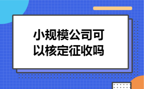 小规模公司可以核定征收吗